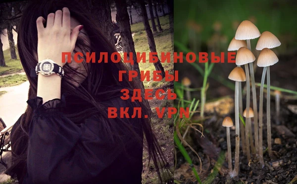 стафф Дегтярск