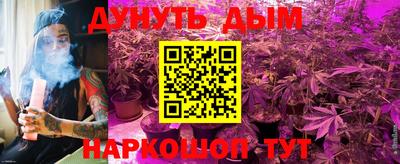 прущие грибы Волгодонск