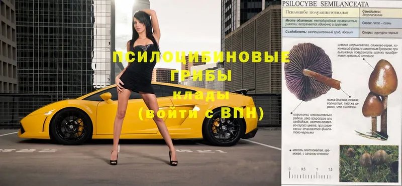 Галлюциногенные грибы ЛСД  OMG онион  shop клад  Краснотурьинск 