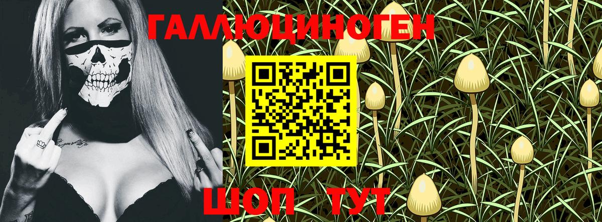 Псилоцибиновые грибы Magic Shrooms  Краснотурьинск 